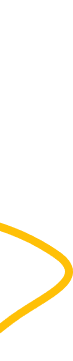 Decorative line